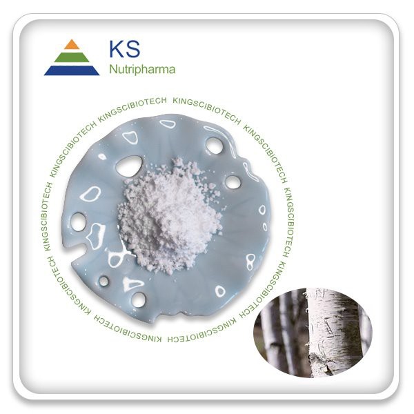 Extracte d'escorça de bedoll Betulina